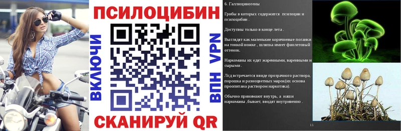 Галлюциногенные грибы GOLDEN TEACHER  KRAKEN ONION  Купино  купить  сайты 